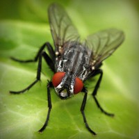 /album/riouberafits/photolia-a01-jpg/