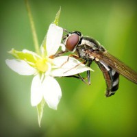 /album/riouberafits/photolia-a02-jpg/