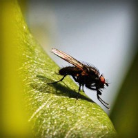 /album/riouberafits/photolia-a04-jpg/