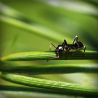 /album/riouberafits/photolia-a05-jpg/