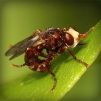 /album/riouberafits/photolia-a06-jpg/