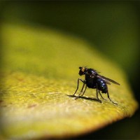 /album/riouberafits/photolia-a07-jpg/