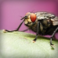 /album/riouberafits/photolia-a08-jpg/